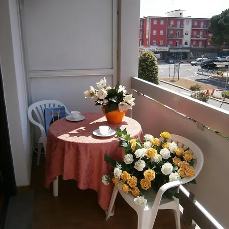 In 24416c 비비오네