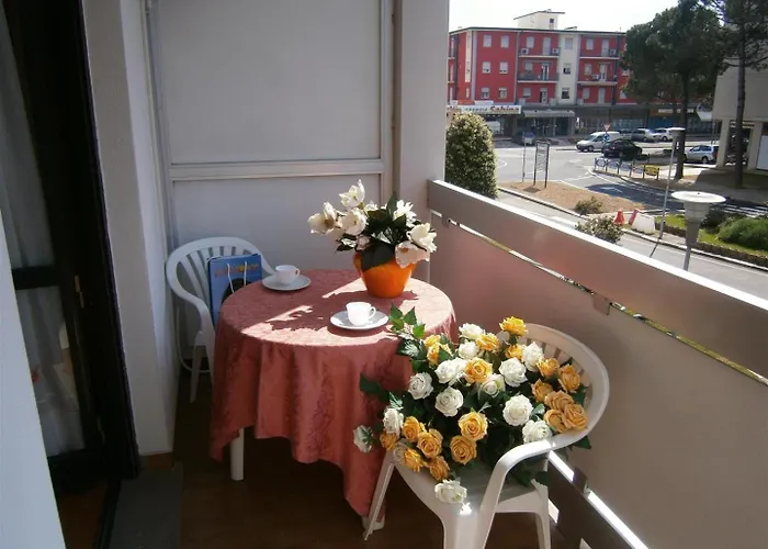 In 24416c 비비오네