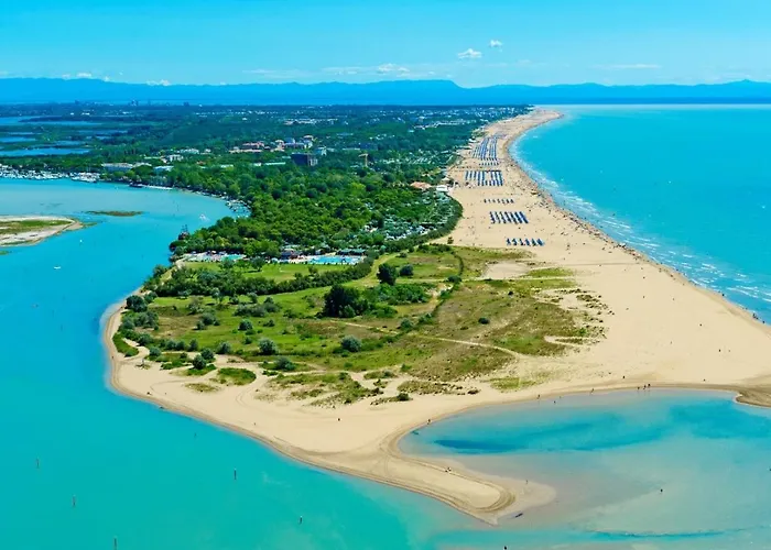 In 24416c 비비오네